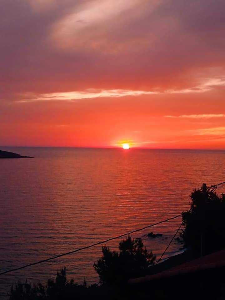 Kalymnos Platy Gialos Mousellis Makis Apartments Panormos  Eksteriør billede